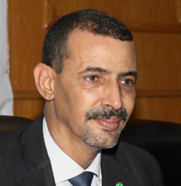 ولد مدو: نعمل على ربط الثقافة بالاقتصاد الرقمي