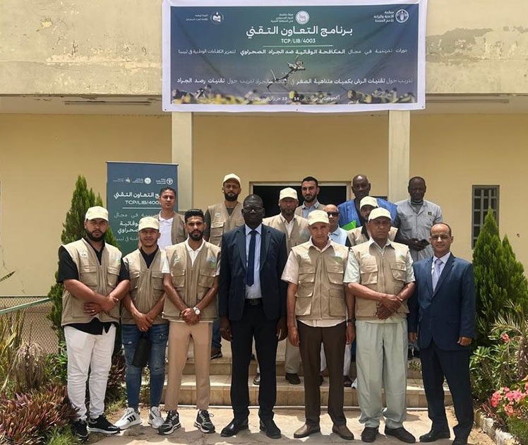 تدريب مختصين ليبيين على مكافحة الجراد بنواكشوط