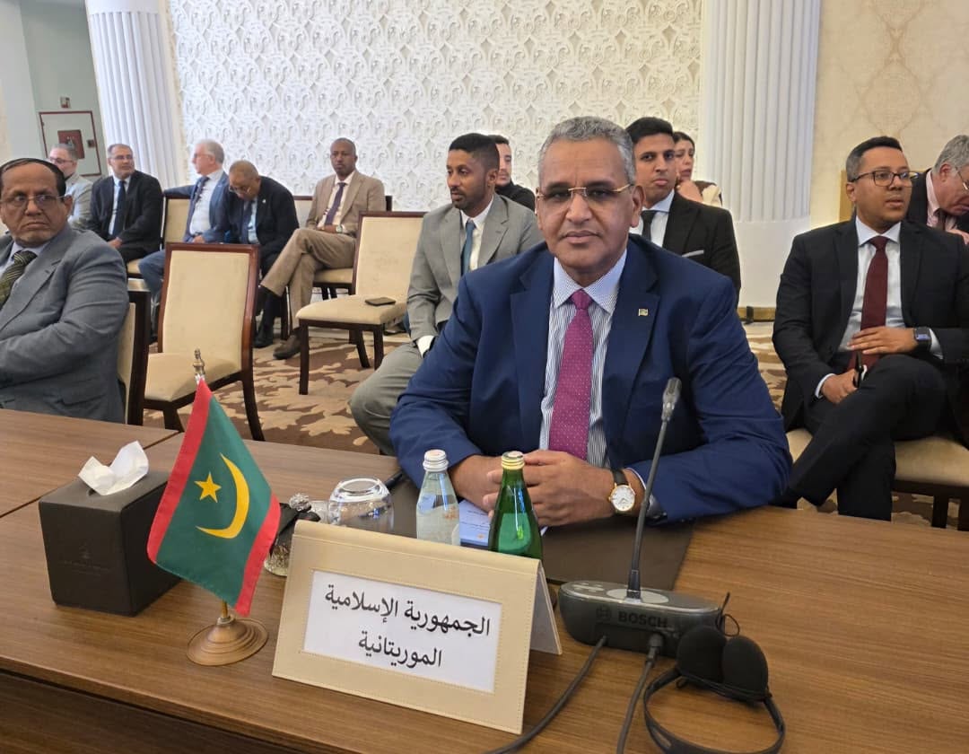 انتخاب موريتانيا عضوا بجميع لجان المنظمة العربية للطيران