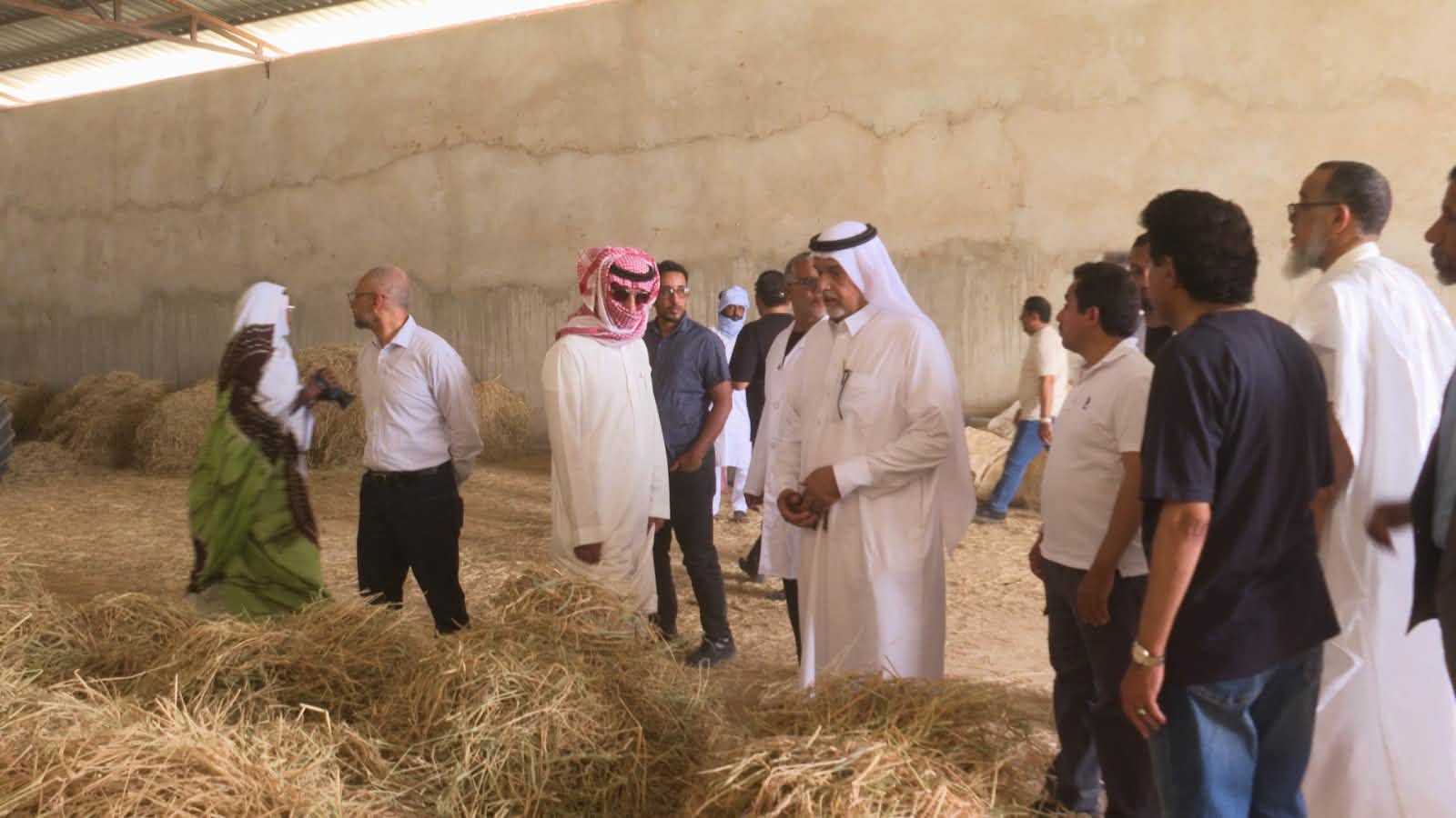بعثة سعودية تستكشف الاستثمار الحيواني بموريتانيا