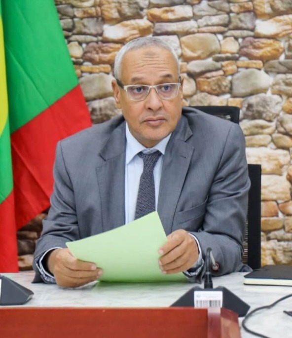 الصيد: إعادة تفعيل لجنة أسماك السطح الصغيرة