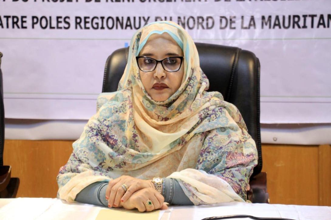 البيئة: بعثة مشتركة تنفي وجود تسرب للسيانيد من أنابيب MCM