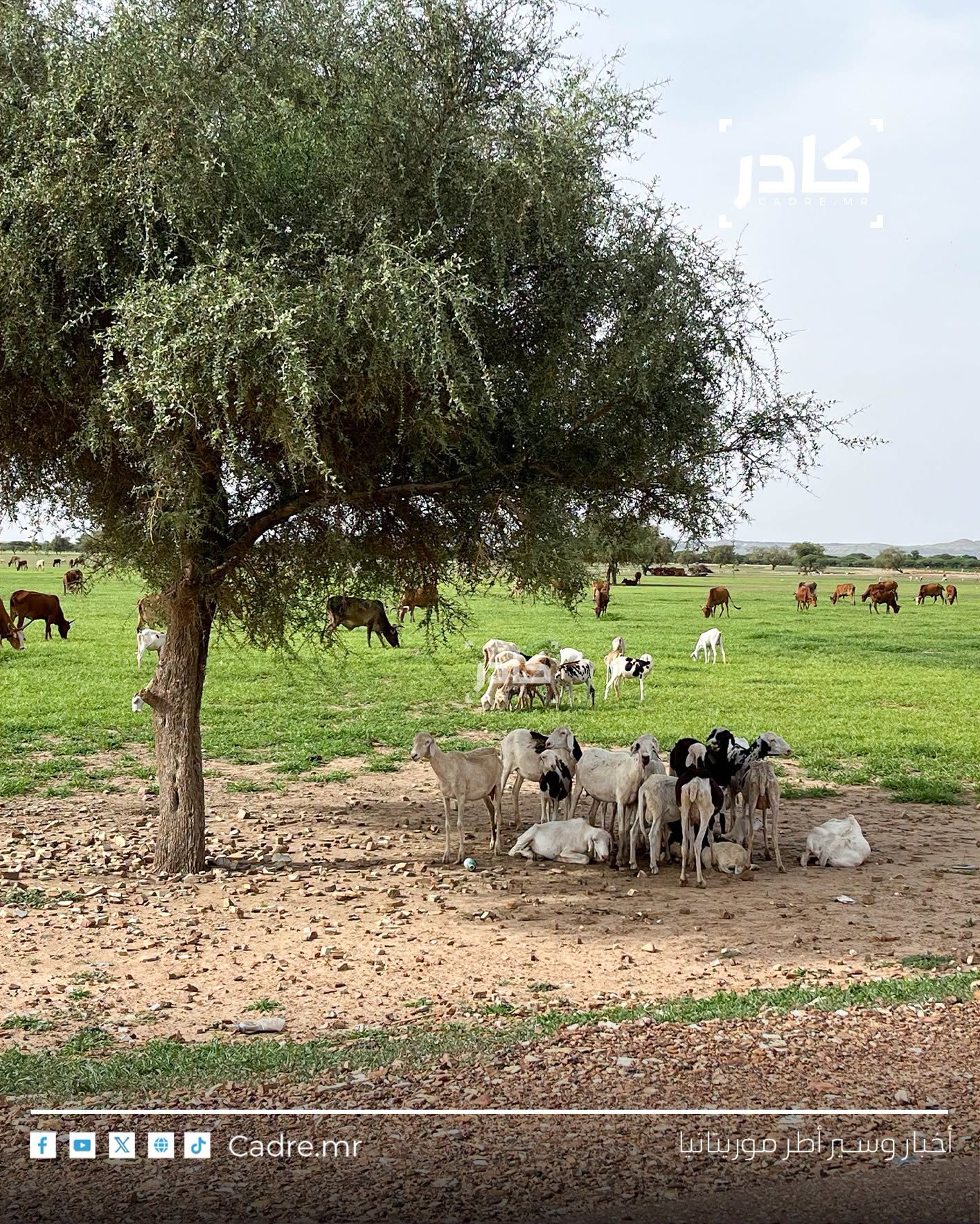 الأرصاد: مؤشرات المطر مشجعة للموسم الزراعي والرعوي