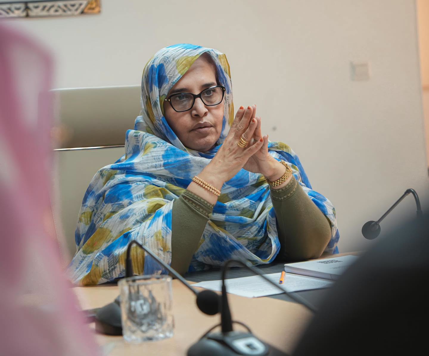 بنت بحام: نسعى لتحويل بنشاب إلى مدينة خضراء