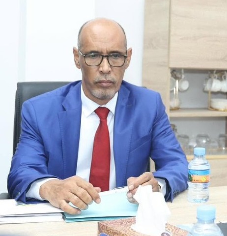 ولد أحمد قاظي مديرا عاما لشركة معادن موريتانيا